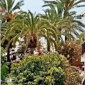  Appartamento Old Town Spagna